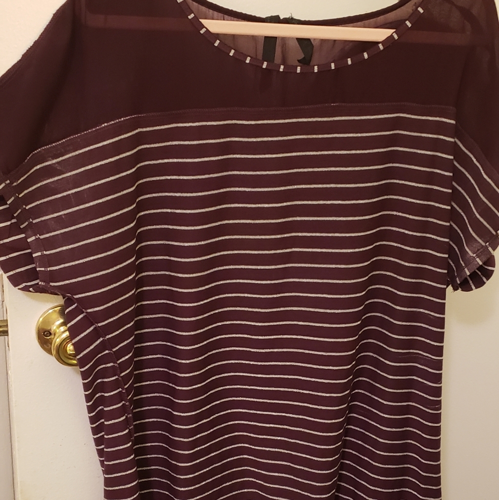 Plum top with sheer neck and sleeves with silver m
